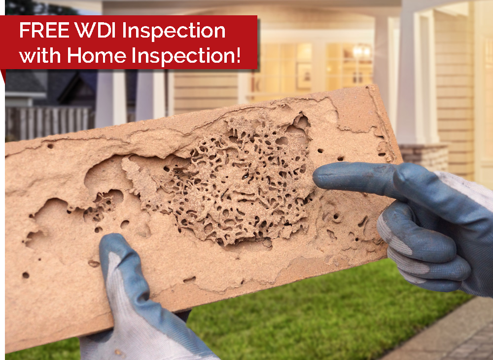 Wood Destroying Insect (WDI) Inspections